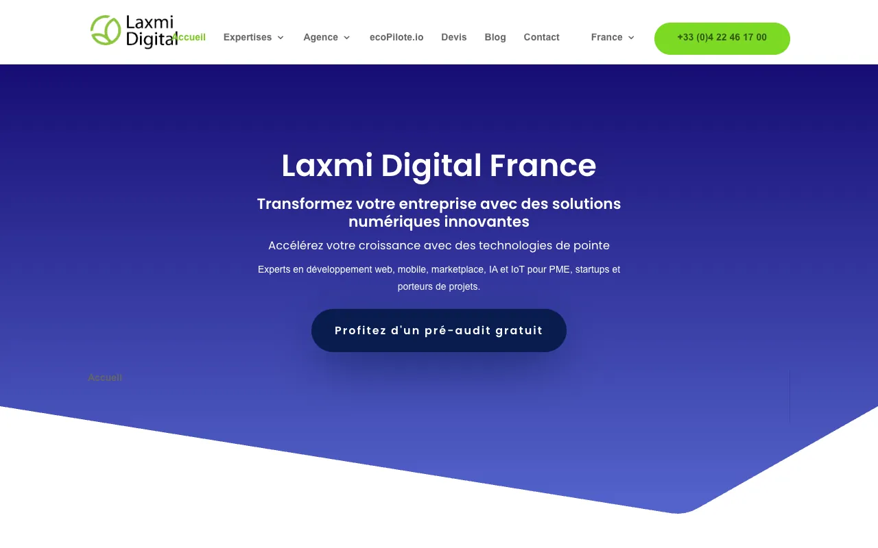 Page d’accueil du site de Laxmi Digital